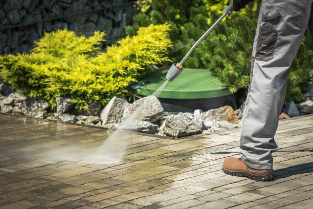 Best Animal Enclosure Cleaning  in Danvers, IL