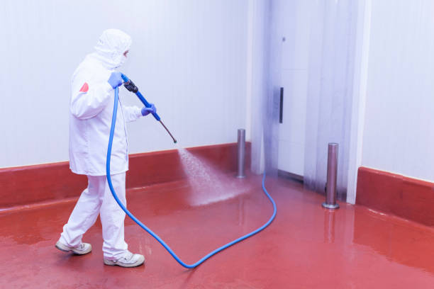 Best Building Exterior Washing  in Danvers, IL