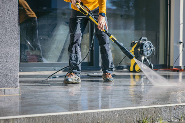 Best Dumpster Area Cleaning  in Danvers, IL